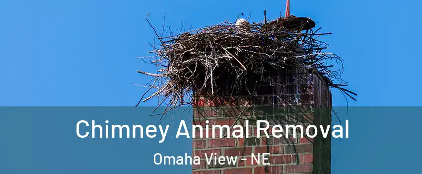 Chimney Animal Removal Omaha View - NE