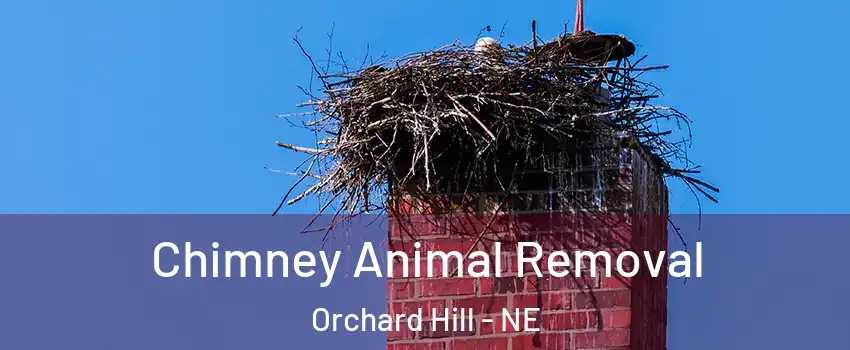 Chimney Animal Removal Orchard Hill - NE