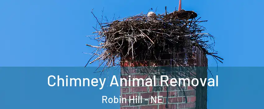 Chimney Animal Removal Robin Hill - NE