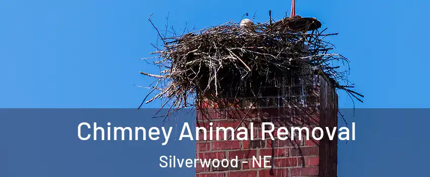 Chimney Animal Removal Silverwood - NE