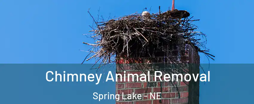 Chimney Animal Removal Spring Lake - NE