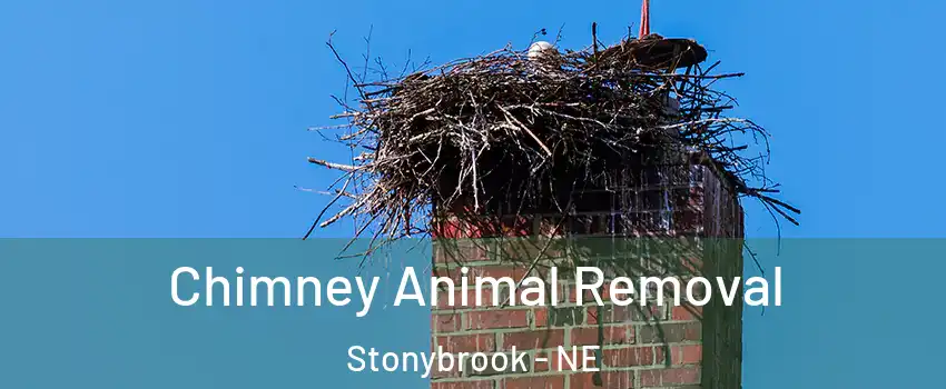 Chimney Animal Removal Stonybrook - NE