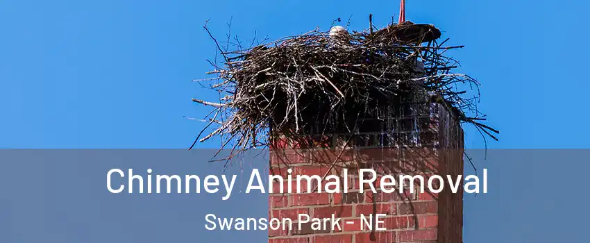 Chimney Animal Removal Swanson Park - NE