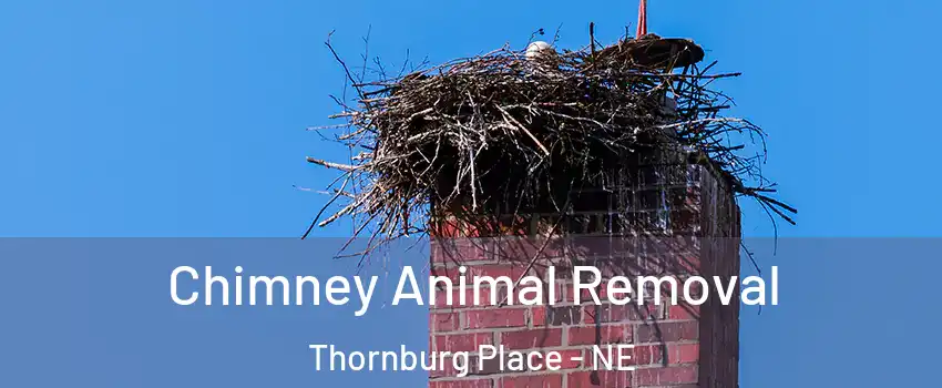 Chimney Animal Removal Thornburg Place - NE