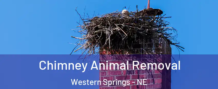 Chimney Animal Removal Western Springs - NE
