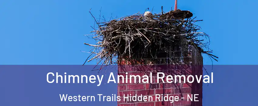Chimney Animal Removal Western Trails Hidden Ridge - NE