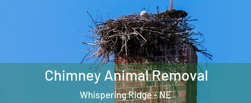 Chimney Animal Removal Whispering Ridge - NE