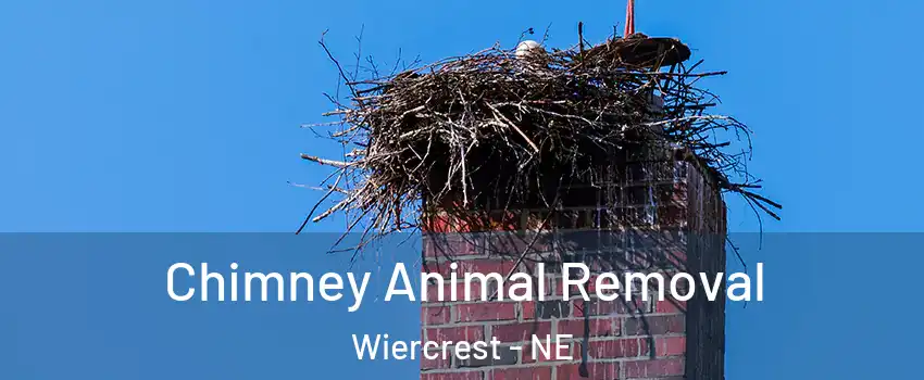 Chimney Animal Removal Wiercrest - NE