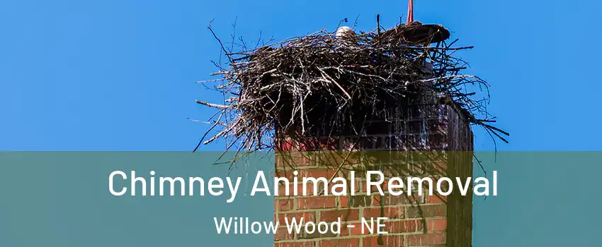 Chimney Animal Removal Willow Wood - NE