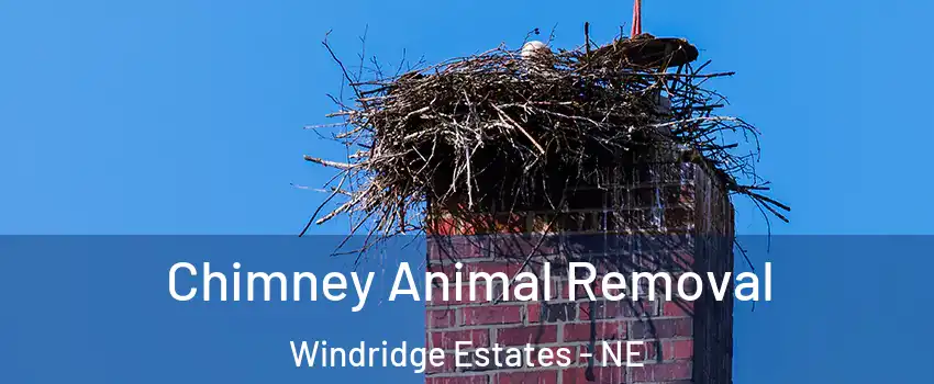 Chimney Animal Removal Windridge Estates - NE