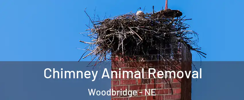 Chimney Animal Removal Woodbridge - NE