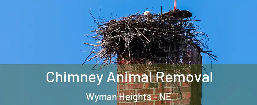 Chimney Animal Removal Wyman Heights - NE