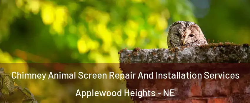 Chimney Animal Screen Repair And Installation Services Applewood Heights - NE