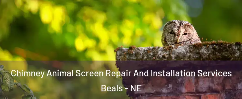 Chimney Animal Screen Repair And Installation Services Beals - NE