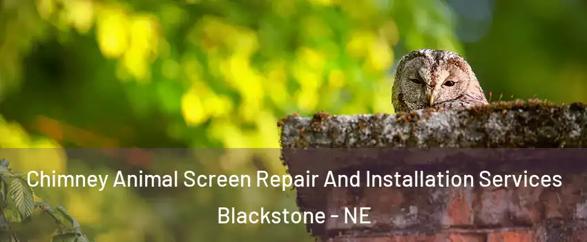 Chimney Animal Screen Repair And Installation Services Blackstone - NE
