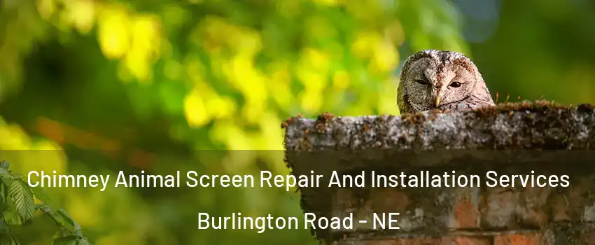 Chimney Animal Screen Repair And Installation Services Burlington Road - NE