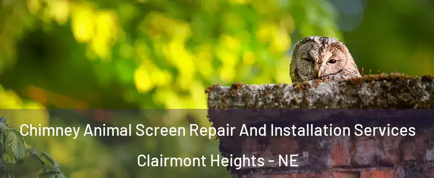 Chimney Animal Screen Repair And Installation Services Clairmont Heights - NE
