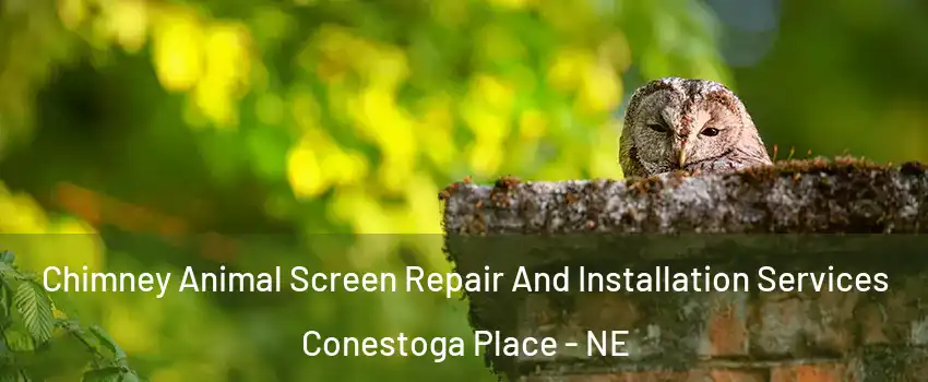 Chimney Animal Screen Repair And Installation Services Conestoga Place - NE