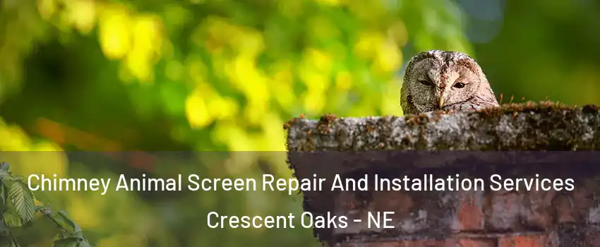 Chimney Animal Screen Repair And Installation Services Crescent Oaks - NE