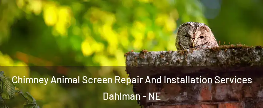 Chimney Animal Screen Repair And Installation Services Dahlman - NE