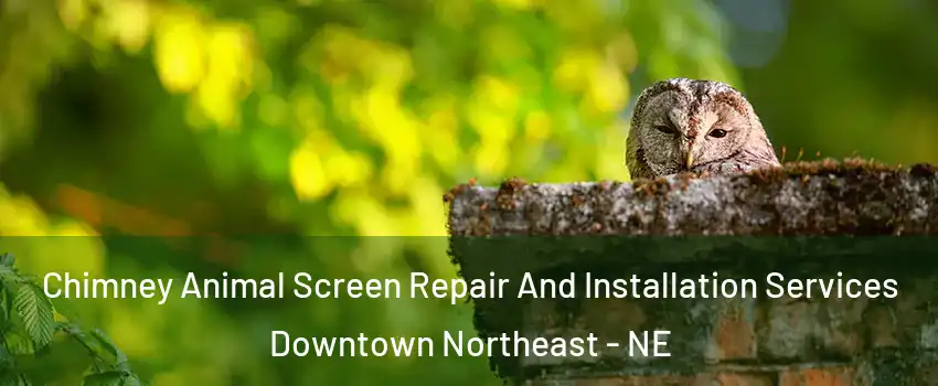 Chimney Animal Screen Repair And Installation Services Downtown Northeast - NE