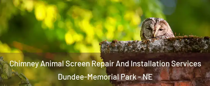 Chimney Animal Screen Repair And Installation Services Dundee-Memorial Park - NE