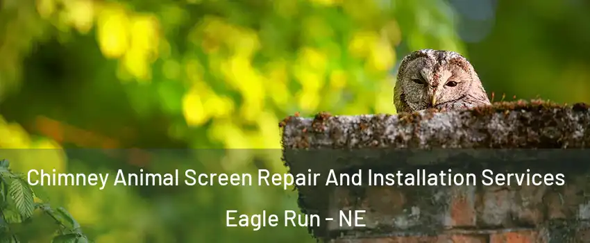 Chimney Animal Screen Repair And Installation Services Eagle Run - NE