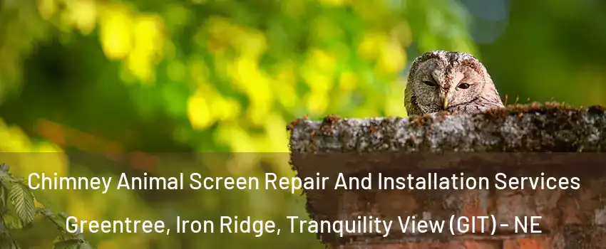 Chimney Animal Screen Repair And Installation Services Greentree, Iron Ridge, Tranquility View (GIT) - NE