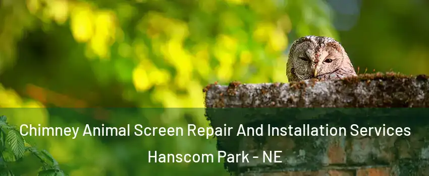 Chimney Animal Screen Repair And Installation Services Hanscom Park - NE
