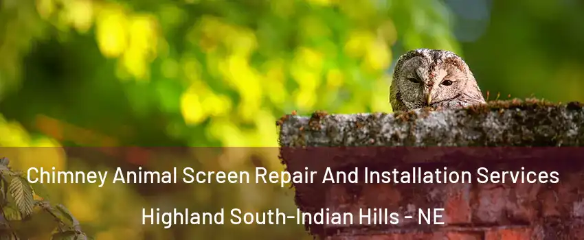 Chimney Animal Screen Repair And Installation Services Highland South-Indian Hills - NE