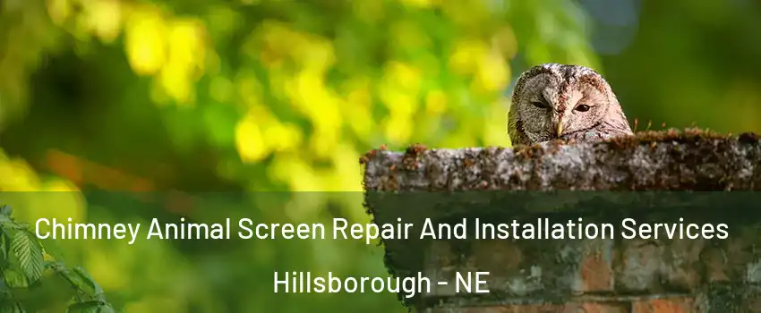 Chimney Animal Screen Repair And Installation Services Hillsborough - NE