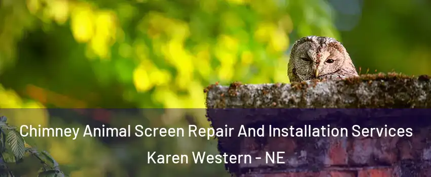 Chimney Animal Screen Repair And Installation Services Karen Western - NE