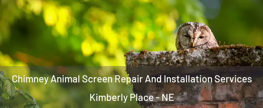 Chimney Animal Screen Repair And Installation Services Kimberly Place - NE