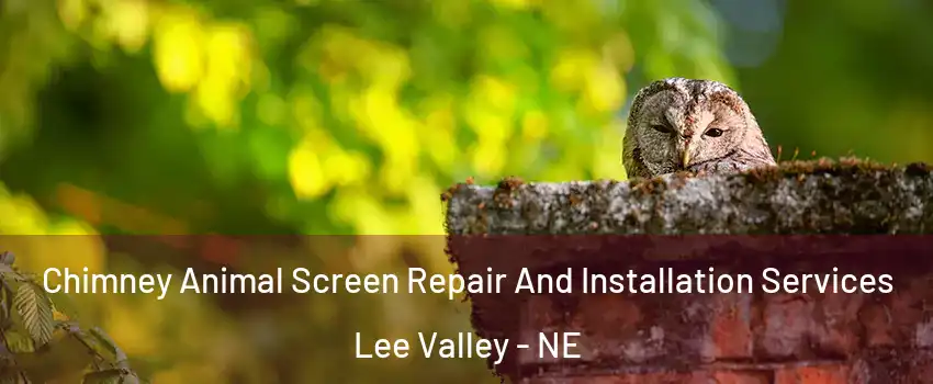 Chimney Animal Screen Repair And Installation Services Lee Valley - NE