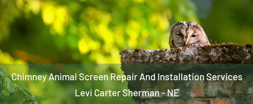 Chimney Animal Screen Repair And Installation Services Levi Carter Sherman - NE