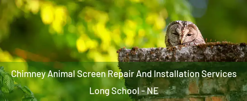 Chimney Animal Screen Repair And Installation Services Long School - NE