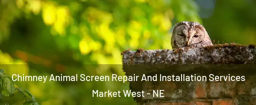 Chimney Animal Screen Repair And Installation Services Market West - NE