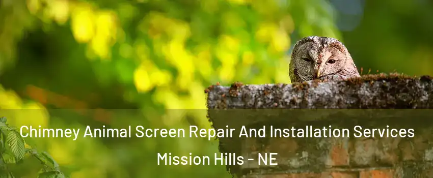Chimney Animal Screen Repair And Installation Services Mission Hills - NE