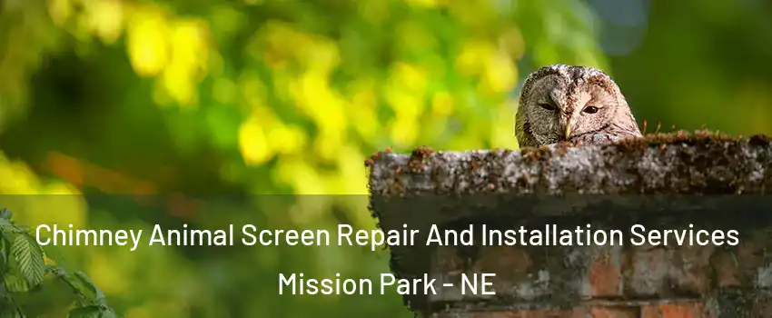 Chimney Animal Screen Repair And Installation Services Mission Park - NE