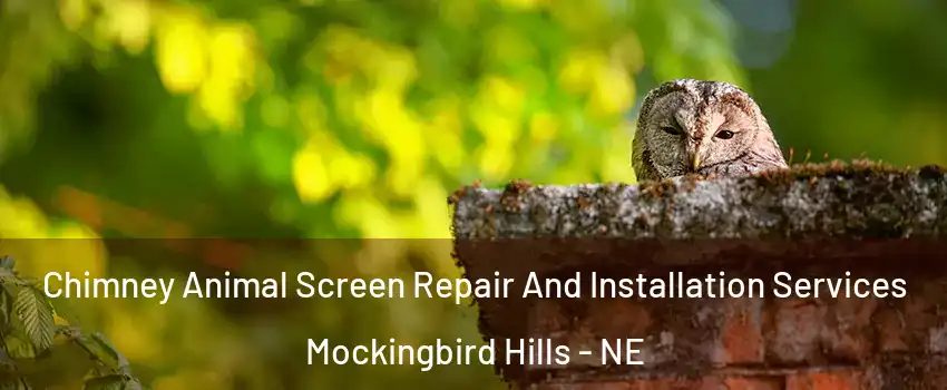 Chimney Animal Screen Repair And Installation Services Mockingbird Hills - NE