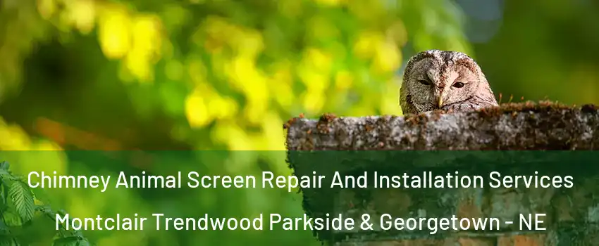 Chimney Animal Screen Repair And Installation Services Montclair Trendwood Parkside & Georgetown - NE