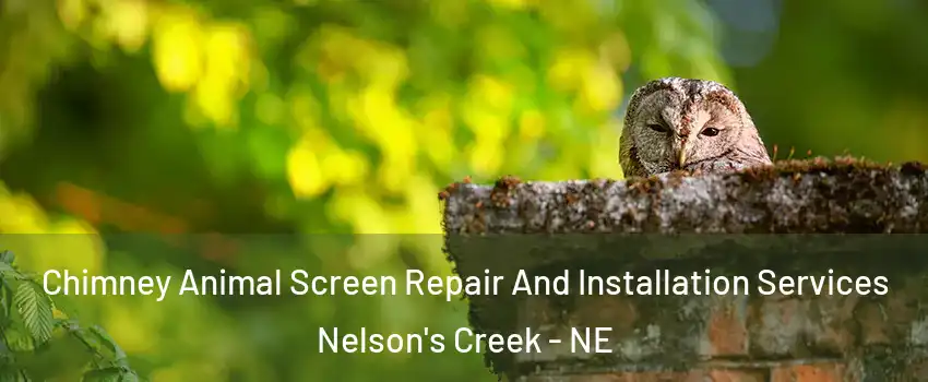 Chimney Animal Screen Repair And Installation Services Nelson's Creek - NE
