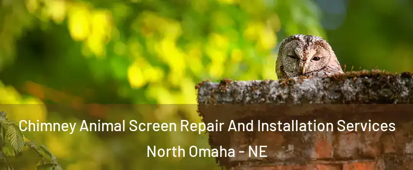Chimney Animal Screen Repair And Installation Services North Omaha - NE