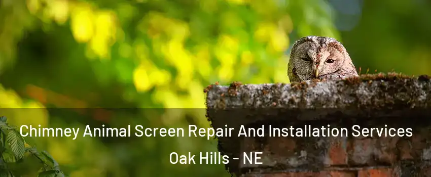 Chimney Animal Screen Repair And Installation Services Oak Hills - NE