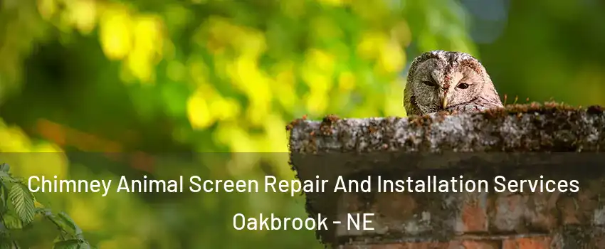 Chimney Animal Screen Repair And Installation Services Oakbrook - NE