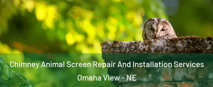 Chimney Animal Screen Repair And Installation Services Omaha View - NE