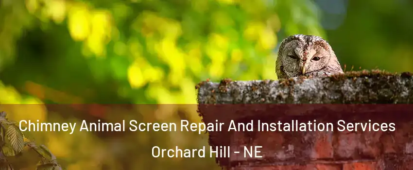Chimney Animal Screen Repair And Installation Services Orchard Hill - NE