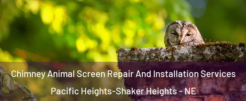 Chimney Animal Screen Repair And Installation Services Pacific Heights-Shaker Heights - NE