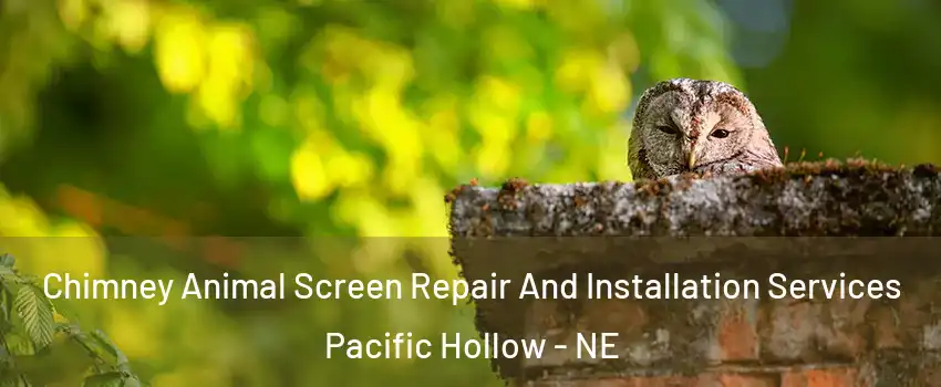 Chimney Animal Screen Repair And Installation Services Pacific Hollow - NE