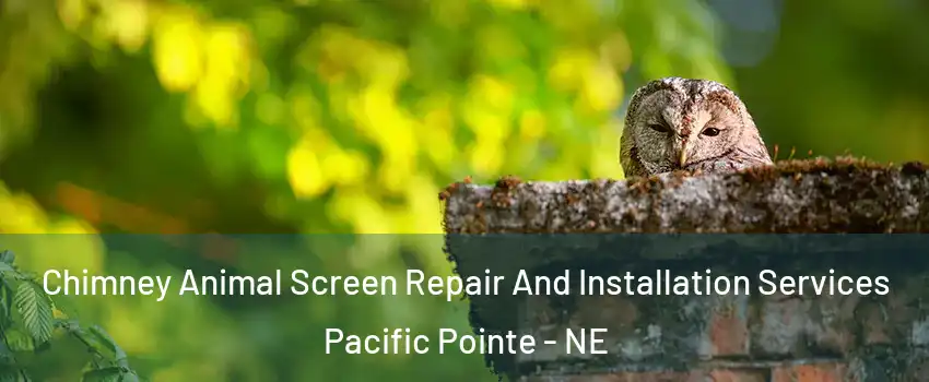 Chimney Animal Screen Repair And Installation Services Pacific Pointe - NE